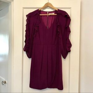 Tibi Flutter Sleeve Pink Silk Dress Size 6